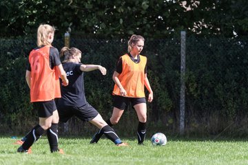Bild 64 - Frauen TSV Wiemersdorf - MTV Segeberg : Ergebnis: 0:7